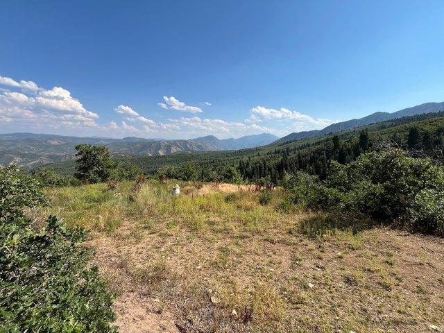 Land for sale in Springville, Utah