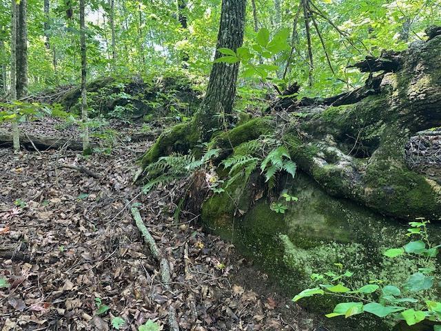 Land for sale in Tennessee