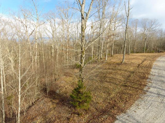 Land for sale in Monticello, Kentucky