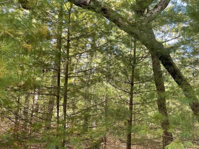 Land for sale in Traces of Lattimore, Delaware Township