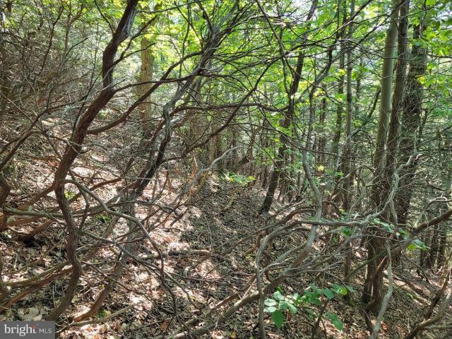 Land for sale in Blair, Pennsylvania