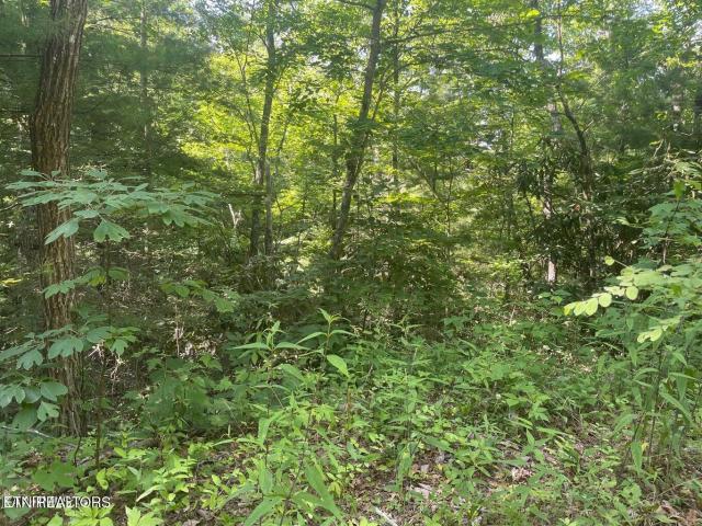 Land for sale in Sevierville, East Tennessee