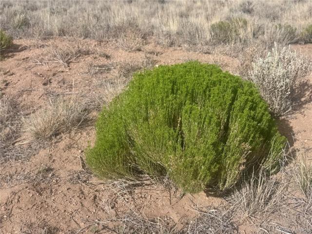 Land for sale in Colorado