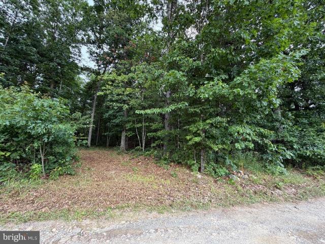 Land for sale in Hardy, West Virginia