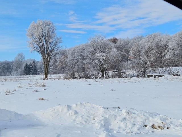 Land for sale in Minnesota