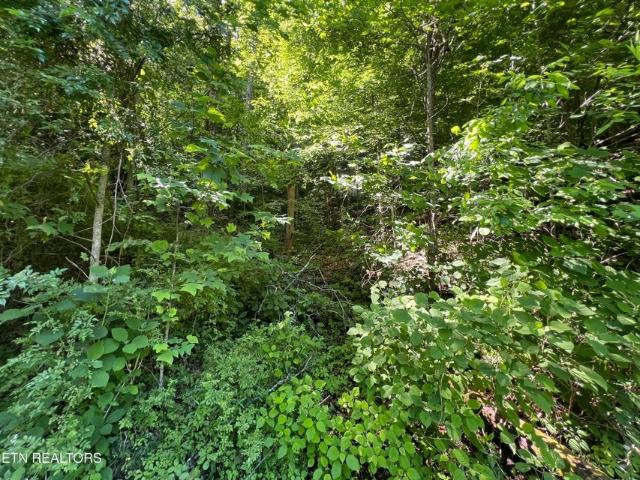 Land for sale in Tennessee