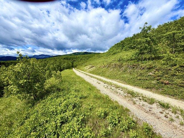 Land for sale in Montana
