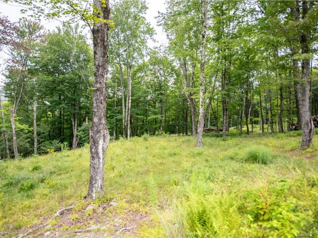Land for sale in Andes, New York