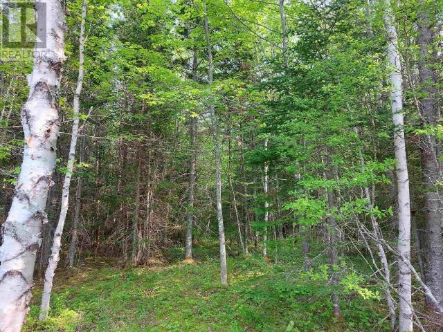 Land for sale in Cleveland, Nova Scotia