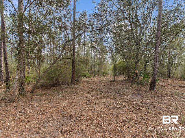 Land for sale in Seminole, Alabama
