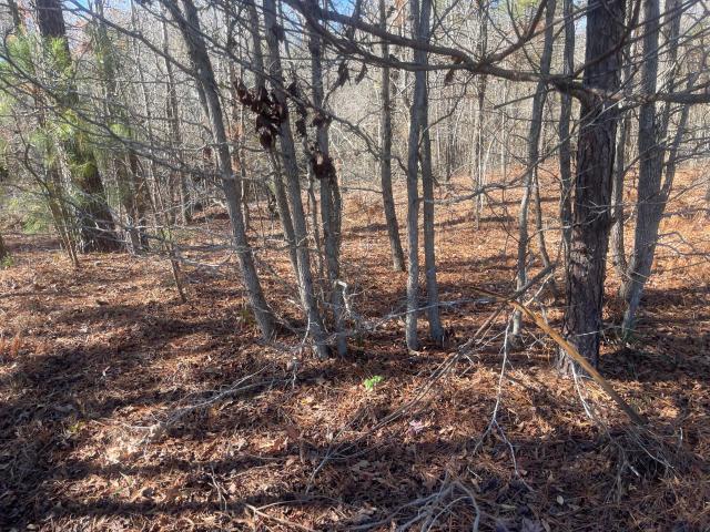 Land for sale in Warrenton, Georgia