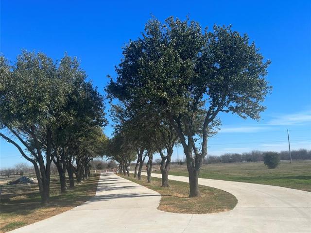 Land for sale in Tioga, Texas