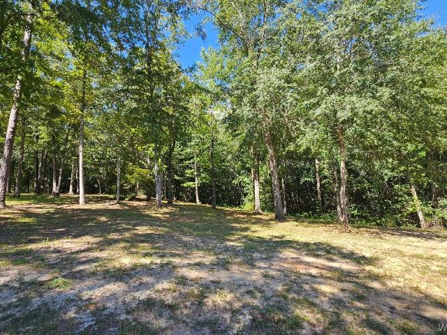Land for sale in Dale, Alabama