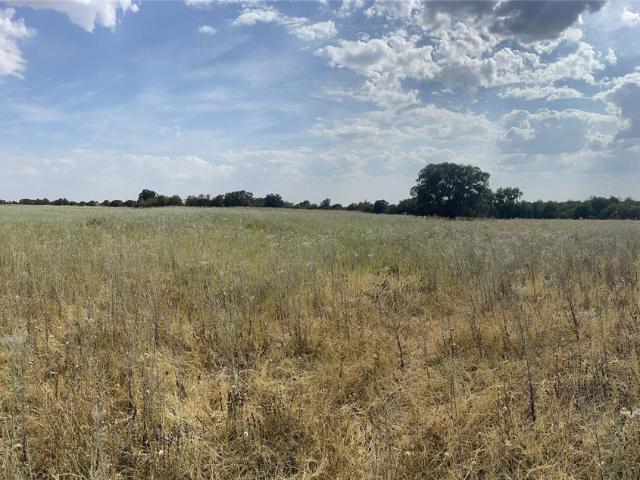 Land for sale in Jones, Texas