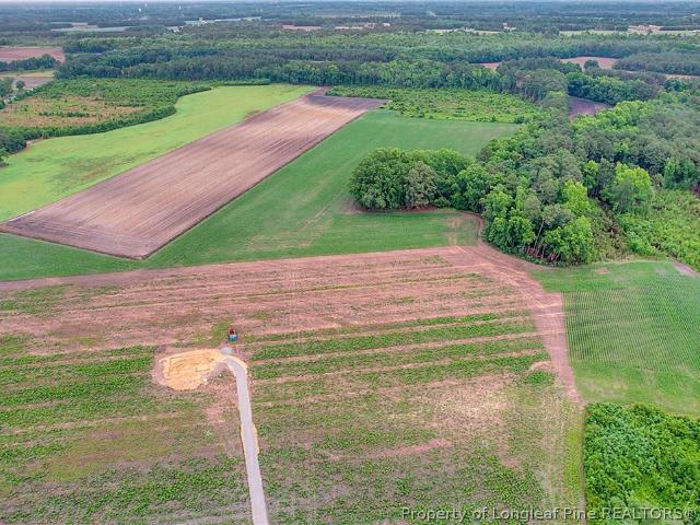 Land for sale in Red Springs, North Carolina