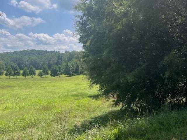Land for sale in Clarkesville, Habersham County