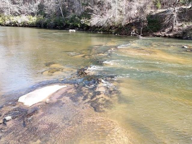 Land for sale in Cornelia, Georgia