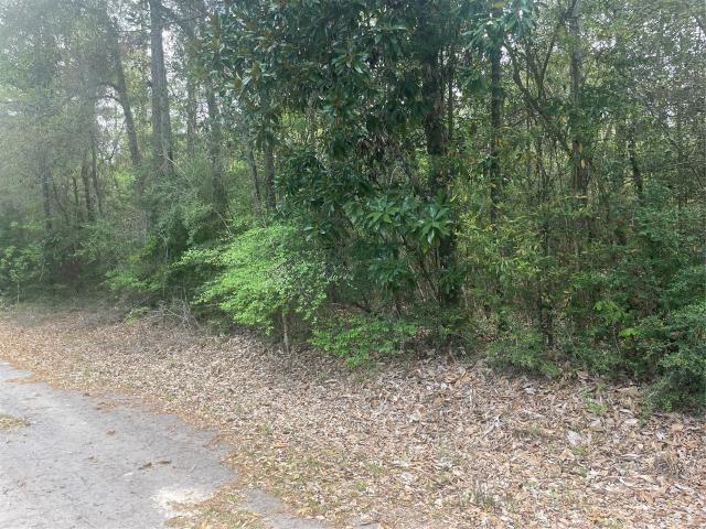 Land for sale in Jasper, Texas