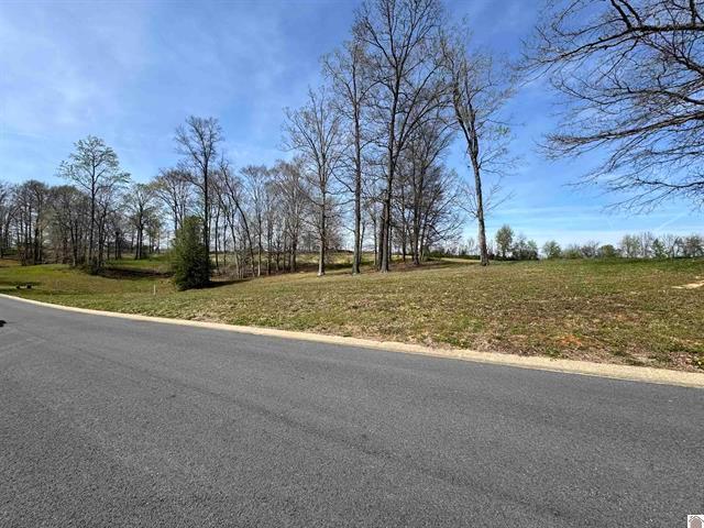 Land for sale in Cadiz, Trigg County