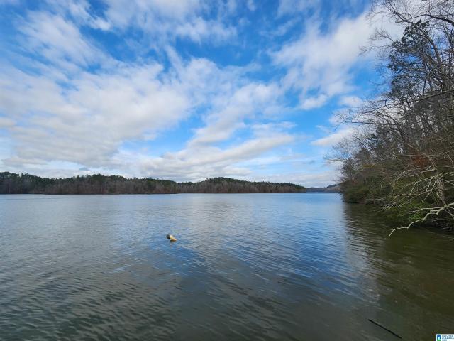 Land for sale in Coosa, Alabama