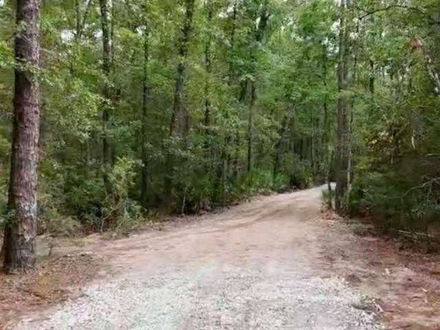 Land for sale in Saint George, Georgia