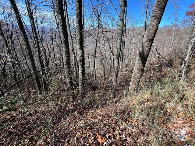 Land for sale in Bryson City, North Carolina