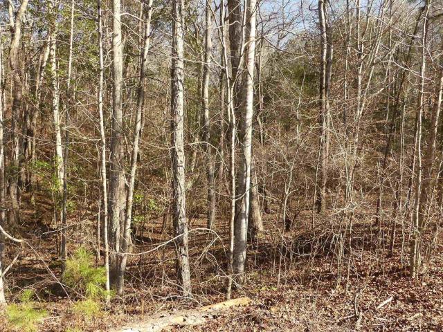 Land for sale in Alabama
