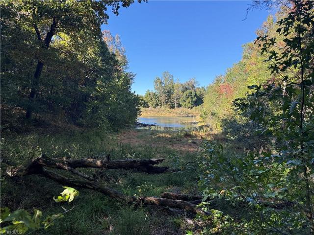 Land for sale in Sandy Cross, Reidsville