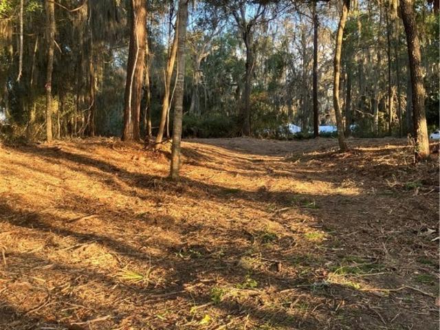 Land for sale in Darien, Georgia