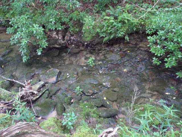 Land for sale in Pikeville, East Tennessee