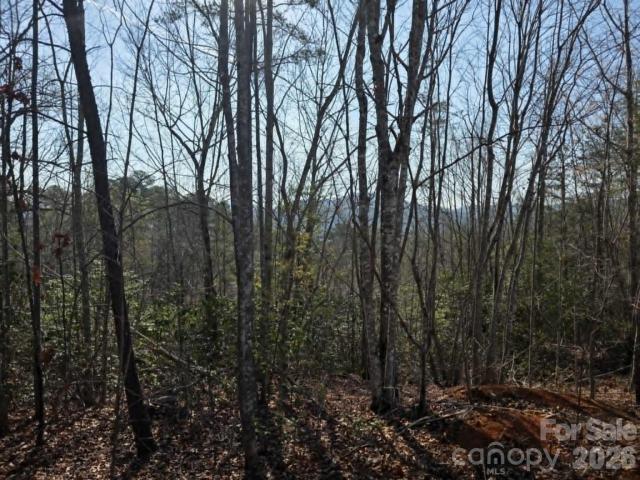Land for sale in Old Fort, North Carolina