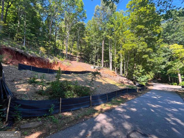 Land for sale in Clayton, Georgia