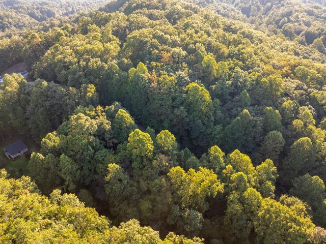 Land for sale in Graham, North Carolina