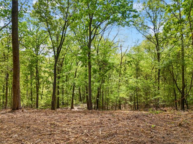 Land for sale in Tennessee
