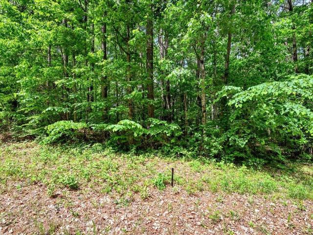 Land for sale in Falkville, Alabama