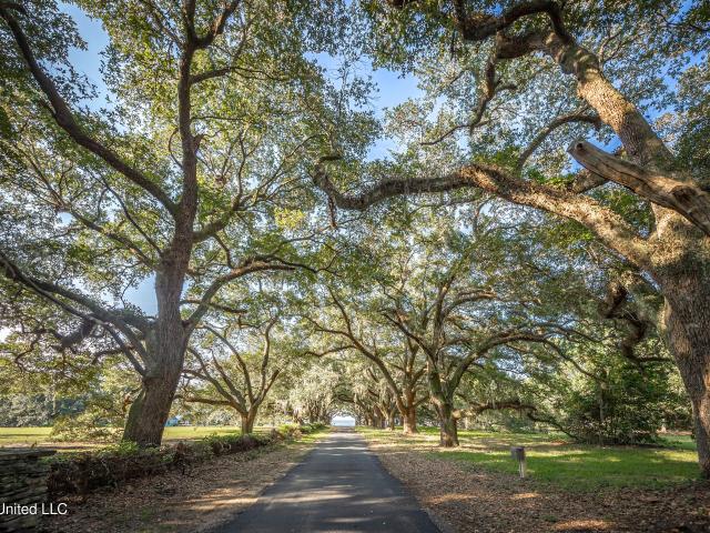 Land for sale in Ocean Springs, Jackson County