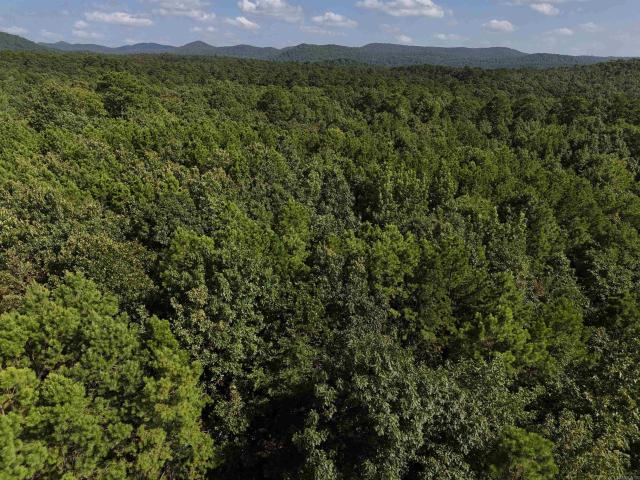 Land for sale in Ark