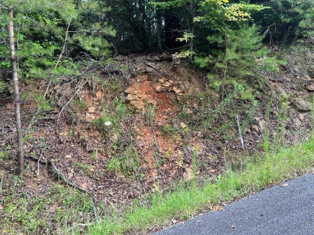 Land for sale in Brasstown, Clay County