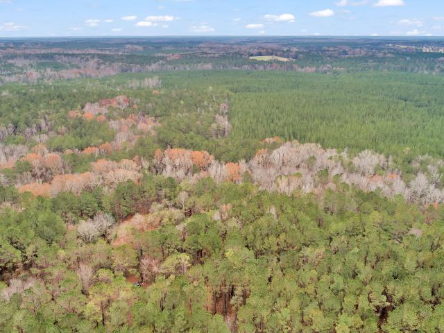 Land for sale in Rayle, Georgia