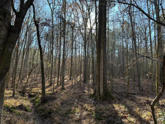 Land for sale in Rayle, Georgia