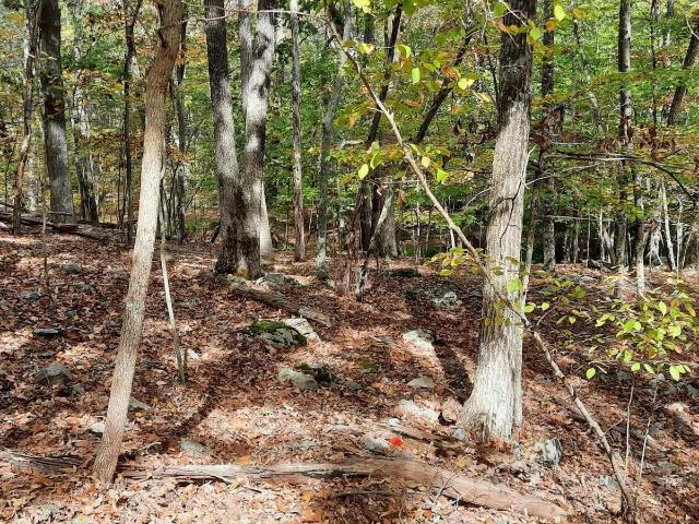 Land for sale in Dingmans Ferry, Pennsylvania