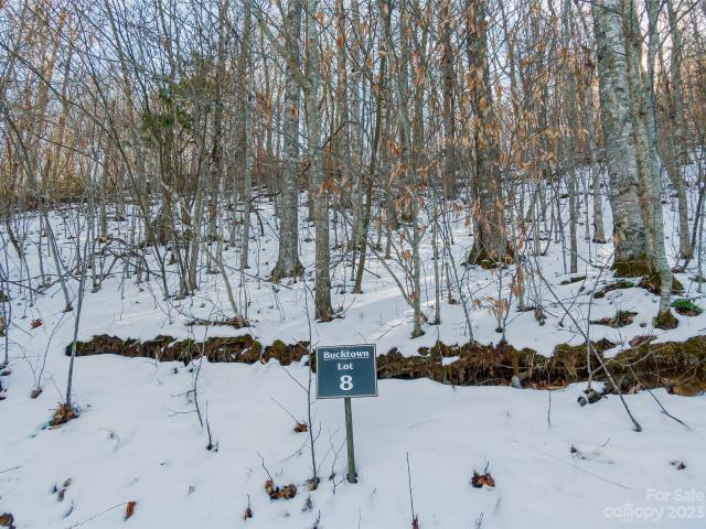 Land for sale in Yancey, North Carolina