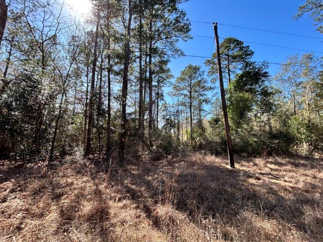Land for sale in Ivanhoe, Texas