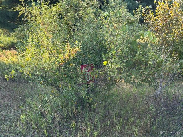 Land for sale in Norway Township, Dickinson County