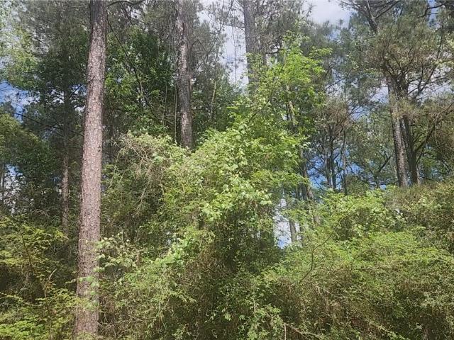 Land for sale in Plantersville, Grimes County