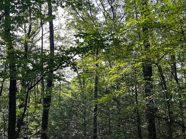 Land for sale in Warren, Massachusetts