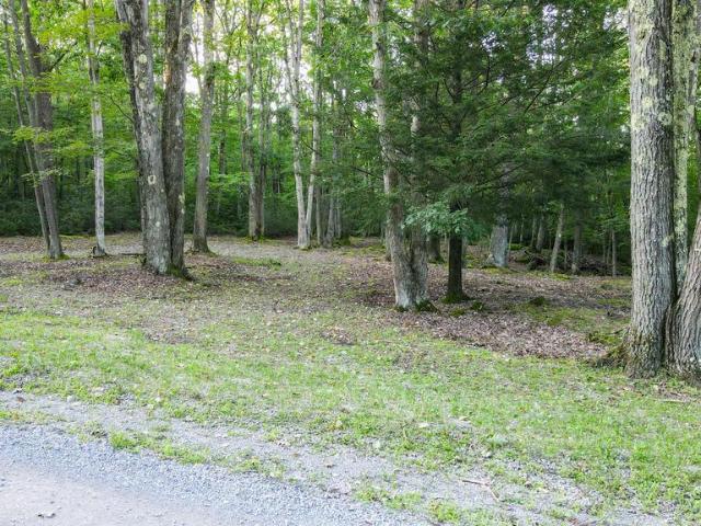 Land for sale in Oakland, Garrett County