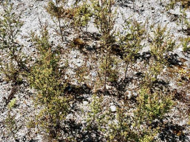 Property for sale in Karamea, West Coast