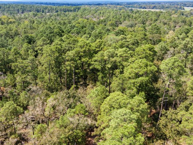 Land for sale in Walker, Texas