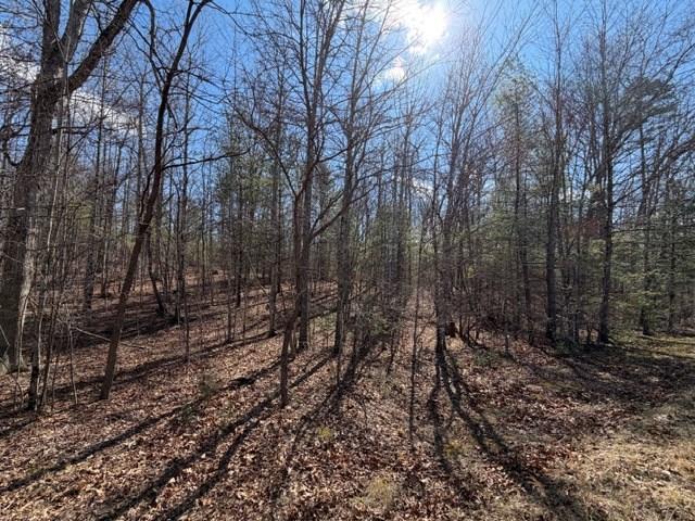 Land for sale in Virginia